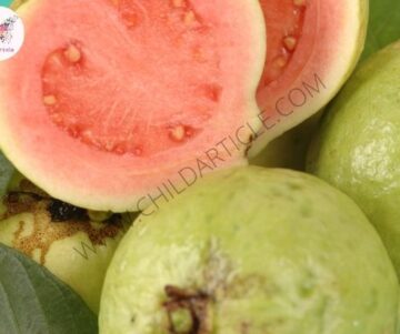 Guava Khane Ke Nuksan | TalkInHindi