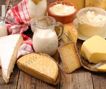 How To Start Dairy Products Business | TalkInHindi