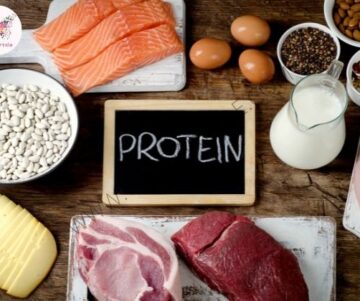 Protein In Vegetarian Diet | TalkInHindi